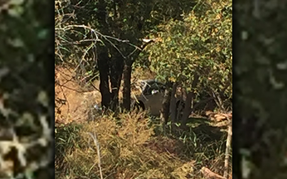 Picture of Mitsubishi Eclipse that was spotted in the woods near Hammon, Okla. Picture courtesy Cathy RomanNose 